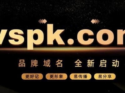 重启百万价值域名----VSPK.COM